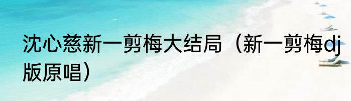 沈心慈新一剪梅大结局（新一剪梅dj版原唱）