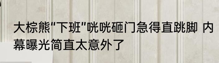 大棕熊“下班”咣咣砸门急得直跳脚 内幕曝光简直太意外了