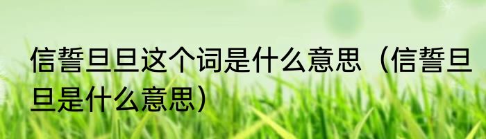 信誓旦旦这个词是什么意思（信誓旦旦是什么意思）