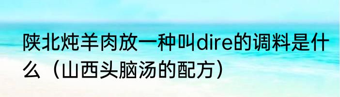 陕北炖羊肉放一种叫dire的调料是什么（山西头脑汤的配方）