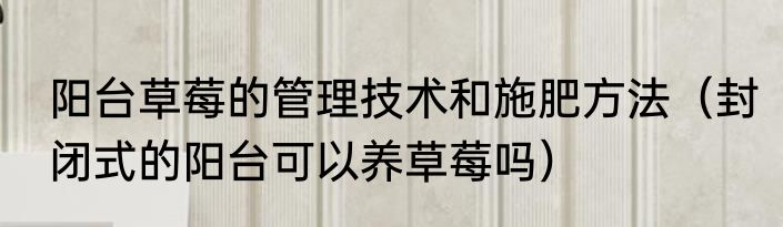 阳台草莓的管理技术和施肥方法（封闭式的阳台可以养草莓吗）