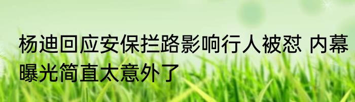 杨迪回应安保拦路影响行人被怼 内幕曝光简直太意外了