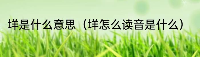 垟是什么意思（垟怎么读音是什么）