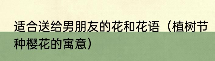 适合送给男朋友的花和花语（植树节种樱花的寓意）