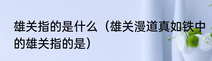 雄关指的是什么（雄关漫道真如铁中的雄关指的是）