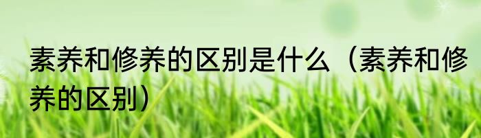素养和修养的区别是什么（素养和修养的区别）