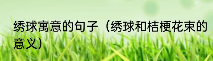 绣球寓意的句子（绣球和桔梗花束的意义）