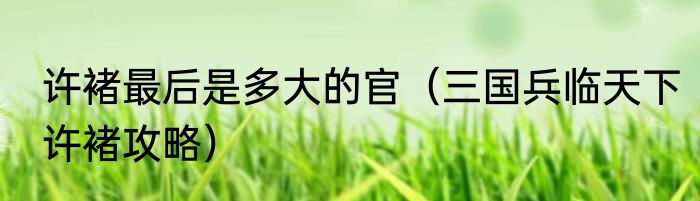 许褚最后是多大的官（三国兵临天下许褚攻略）