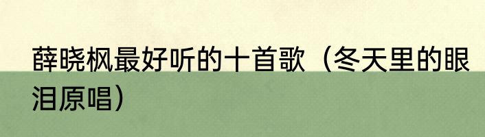 薛晓枫最好听的十首歌（冬天里的眼泪原唱）