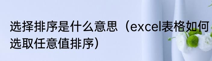选择排序是什么意思（excel表格如何选取任意值排序）