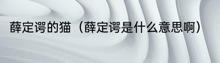 薛定谔的猫（薛定谔是什么意思啊）
