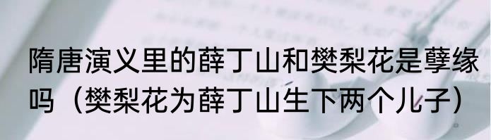 隋唐演义里的薛丁山和樊梨花是孽缘吗（樊梨花为薛丁山生下两个儿子）