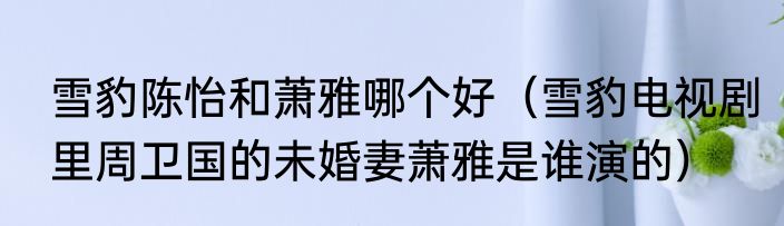 雪豹陈怡和萧雅哪个好（雪豹电视剧里周卫国的未婚妻萧雅是谁演的）