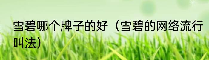 雪碧哪个牌子的好（雪碧的网络流行叫法）