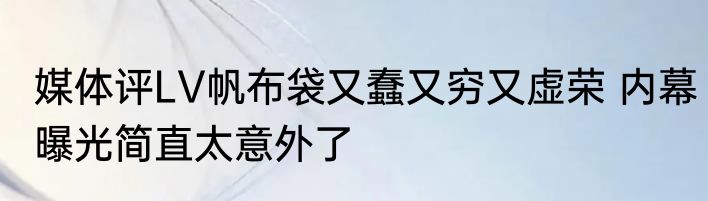 媒体评LV帆布袋又蠢又穷又虚荣 内幕曝光简直太意外了