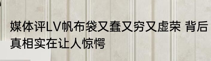 媒体评LV帆布袋又蠢又穷又虚荣 背后真相实在让人惊愕