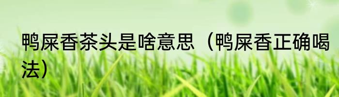 鸭屎香茶头是啥意思（鸭屎香正确喝法）
