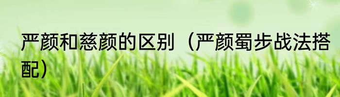 严颜和慈颜的区别（严颜蜀步战法搭配）