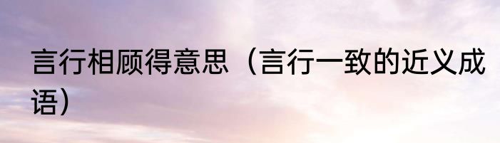 言行相顾得意思（言行一致的近义成语）