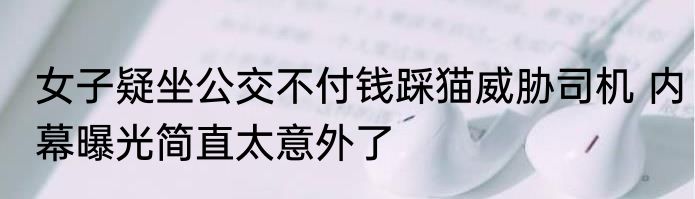 女子疑坐公交不付钱踩猫威胁司机 内幕曝光简直太意外了