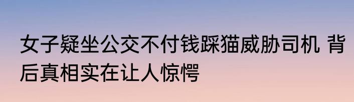 女子疑坐公交不付钱踩猫威胁司机 背后真相实在让人惊愕