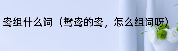 鸯组什么词（鸳鸯的鸯，怎么组词呀）