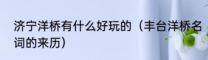 济宁洋桥有什么好玩的（丰台洋桥名词的来历）
