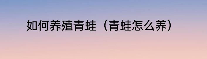 如何养殖青蛙（青蛙怎么养）