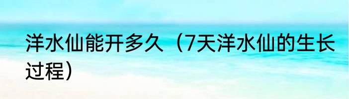 洋水仙能开多久（7天洋水仙的生长过程）