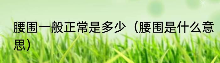 腰围一般正常是多少（腰围是什么意思）