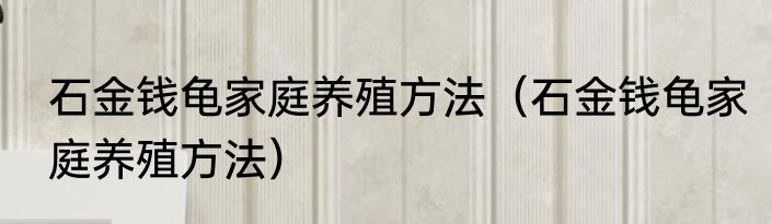 石金钱龟家庭养殖方法（石金钱龟家庭养殖方法）