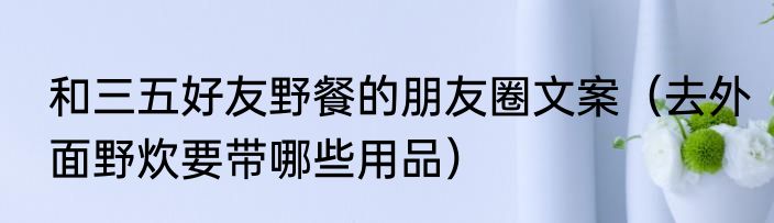 和三五好友野餐的朋友圈文案（去外面野炊要带哪些用品）