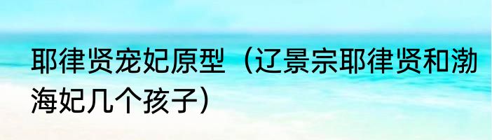 耶律贤宠妃原型（辽景宗耶律贤和渤海妃几个孩子）