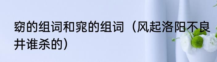 窈的组词和窕的组词（风起洛阳不良井谁杀的）