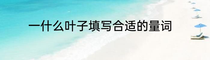 一什么叶子填写合适的量词
