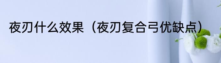 夜刃什么效果（夜刃复合弓优缺点）
