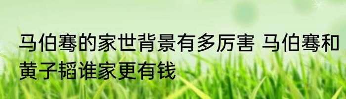 马伯骞的家世背景有多厉害 马伯骞和黄子韬谁家更有钱