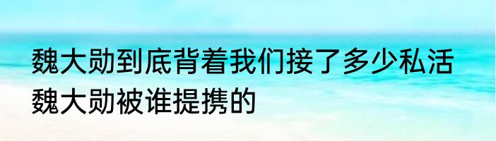 魏大勋到底背着我们接了多少私活   魏大勋被谁提携的