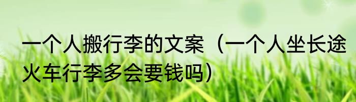 一个人搬行李的文案（一个人坐长途火车行李多会要钱吗）