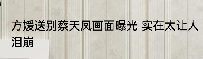 方媛送别蔡天凤画面曝光 实在太让人泪崩