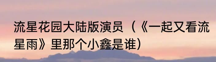 流星花园大陆版演员（《一起又看流星雨》里那个小鑫是谁）