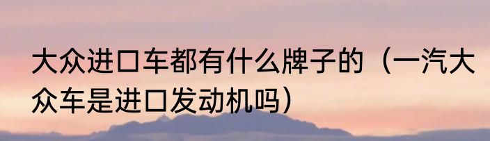 大众进口车都有什么牌子的（一汽大众车是进口发动机吗）