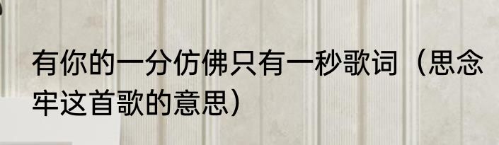 有你的一分仿佛只有一秒歌词（思念牢这首歌的意思）