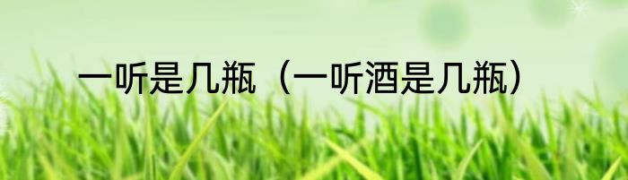 一听是几瓶（一听酒是几瓶）