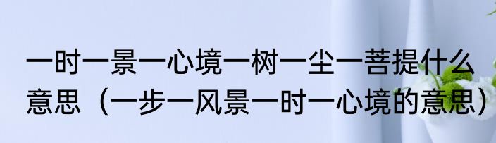 一时一景一心境一树一尘一菩提什么意思（一步一风景一时一心境的意思）