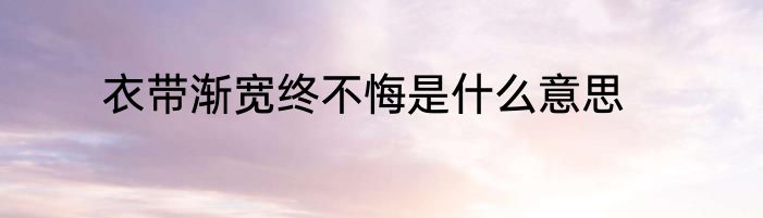 衣带渐宽终不悔是什么意思