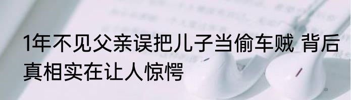 1年不见父亲误把儿子当偷车贼 背后真相实在让人惊愕