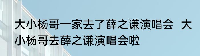 大小杨哥一家去了薛之谦演唱会  大小杨哥去薛之谦演唱会啦