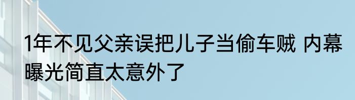 1年不见父亲误把儿子当偷车贼 内幕曝光简直太意外了