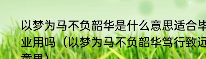 以梦为马不负韶华是什么意思适合毕业用吗（以梦为马不负韶华笃行致远意思）